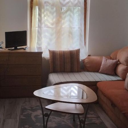Apartament Pod Zamkiem Olštýn Exteriér fotografie